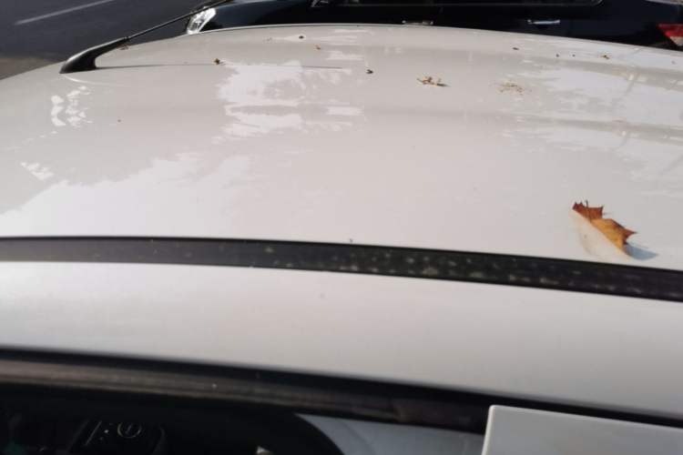 Used JMEV Xiao Qilin 2023 Joyful Edition 201km Comfort Model Roof