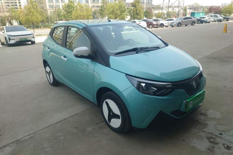 Used JMEV Xiao Qilin 2024 201 km Luxury Version Exterior 1