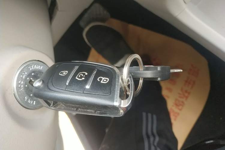 Used JMEV Xiao Qilin 2024 201km Comfort Version Vehicle Key