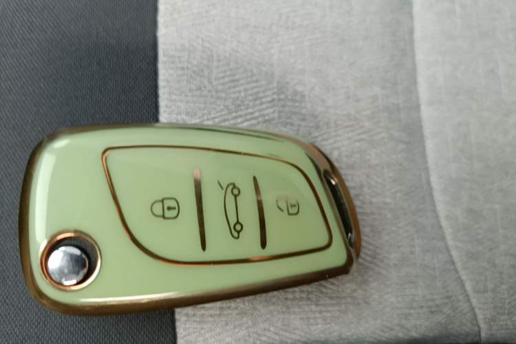 Used JMEV Xiao Qilin 2024 201km Comfort Version Vehicle Key