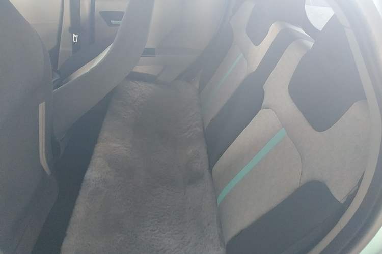 Used JMEV Xiao Qilin 2024 201km Comfort Version Left Rear Seat
