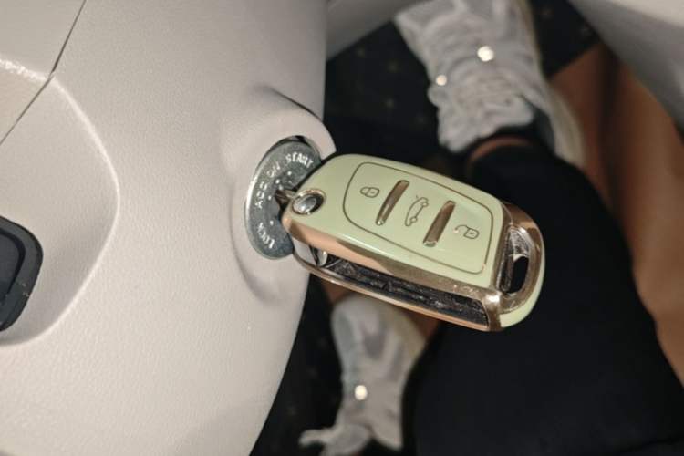 Used JMEV Xiao Qilin 2024 201km Comfort Version Vehicle Key