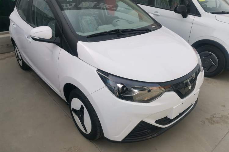 Used JMEV Xiao Qilin 2024 201 km Luxury Version Exterior 5
