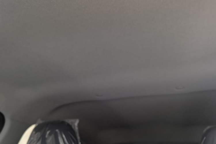 Used JMEV Xiao Qilin 2024 201 km Luxury Version Headliner