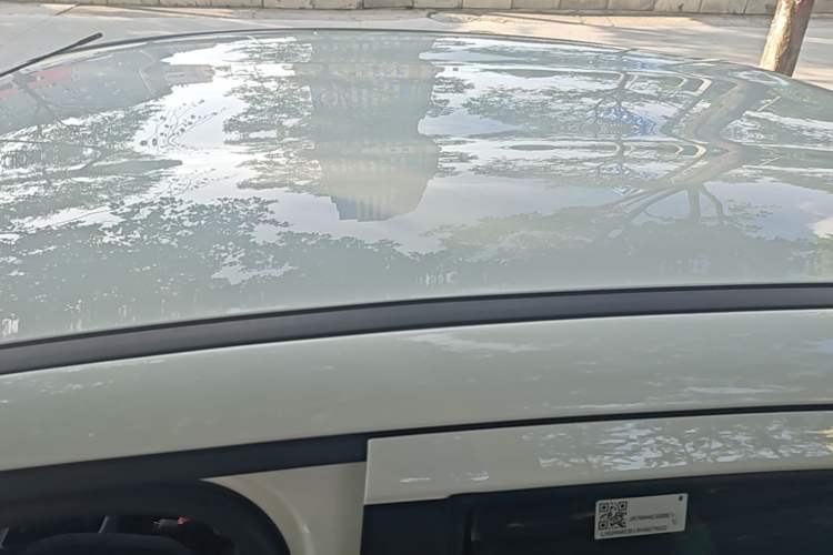Used JMEV Xiao Qilin 2024 201km Comfort Version Roof