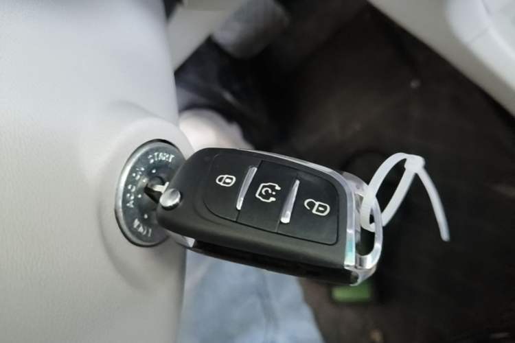 Used JMEV Xiao Qilin 2024 201km Comfort Version Vehicle Key