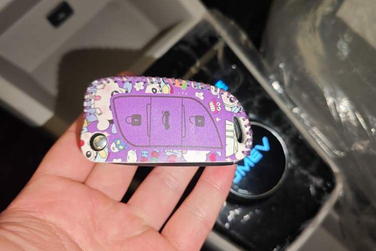 Used JMEV Xiao Qilin 2024 201km Comfort Version Vehicle Key