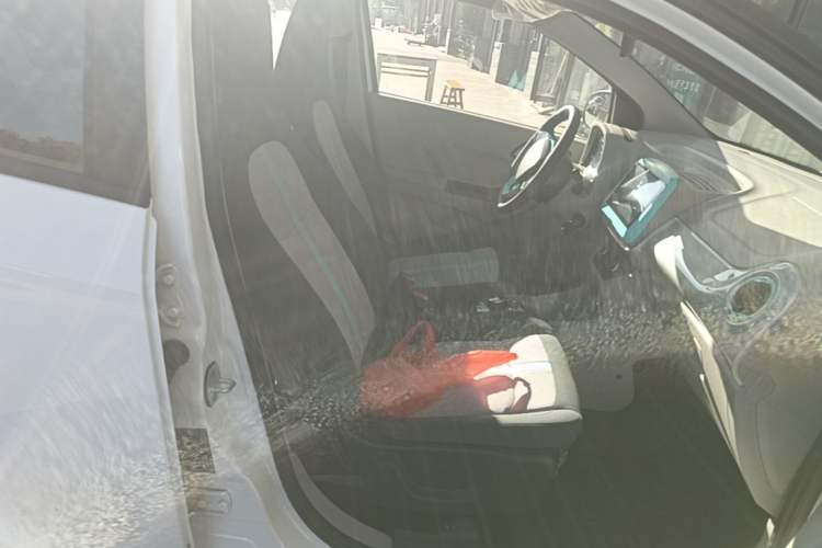 Used JMEV Xiao Qilin 2026 Model PLUS+ Comfort Version Right Front Seat