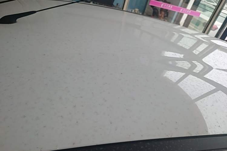 Used JMEV Xiao Qilin 2026 Model PLUS+ Luxury Version Roof