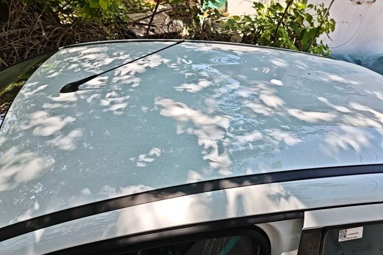 Used JMEV Xiao Qilin 2026 Model PLUS+ Comfort Version Roof