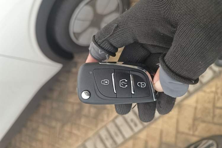Used JMEV Xiao Qilin 2026 Model PLUS+ Comfort Version Vehicle Key