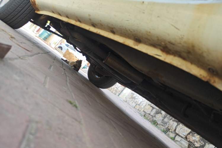 Used Jonway A380 2012 1.6L Manual Elite Model Chassis Front Right