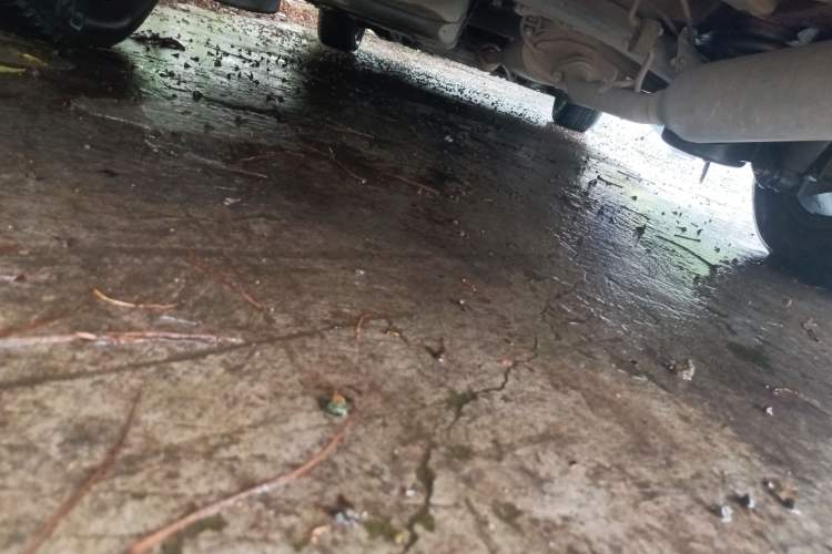 Used Joylong iFly 2017 2.0L Manual Standard Edition Chassis Rear