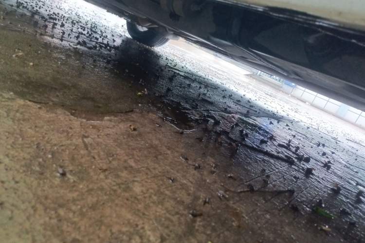Used Joylong iFly 2017 2.0L Manual Standard Edition Chassis Rear Left
