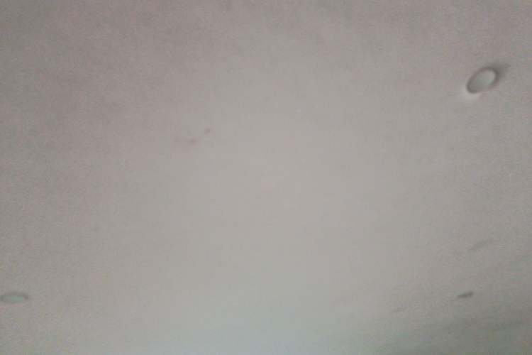 Used Joylong iFly 2017 2.0L Manual Standard Edition Headliner