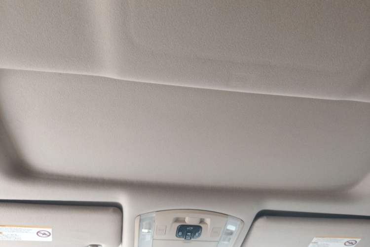 Used Joylong iFly 2018 2.0T Dual-Clutch Luxury Version Headliner
