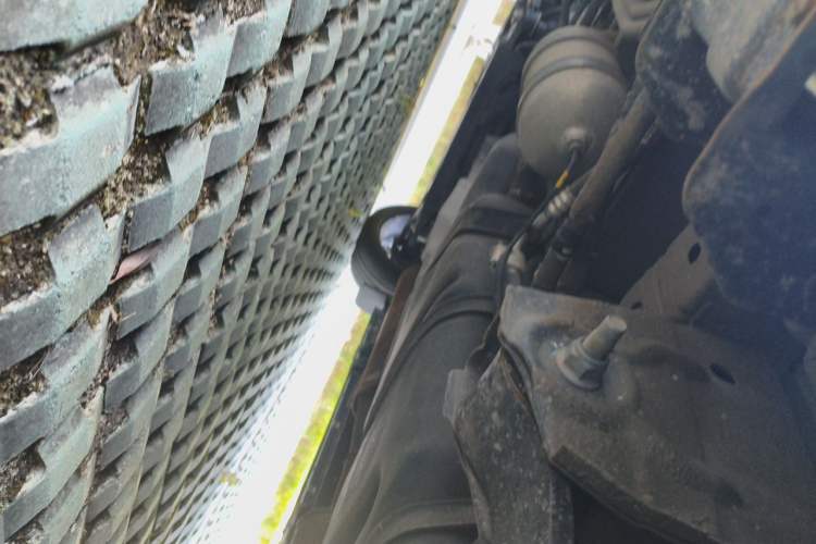 Used Juntian Black Warrior Youth  Chassis Rear Left