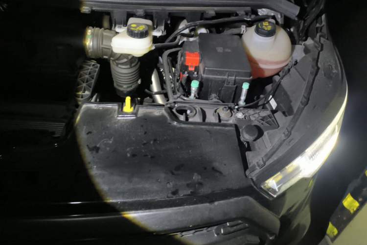Used Juntian Black Warrior Youth 2023 2.0T Gasoline Standard Edition Engine Bay Left