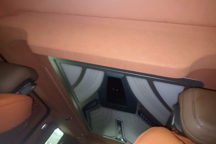 Used Juntian Black Warrior Youth 2023 2.0T Diesel Standard Edition Headliner
