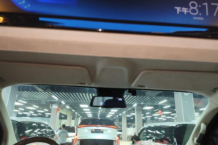 Used Juntian Black Warrior Youth 2023 2.0T Gasoline Standard Edition Headliner