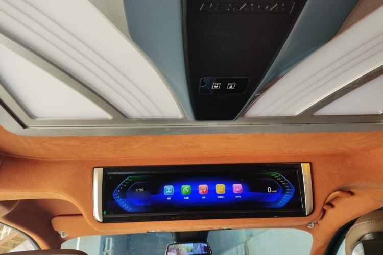 Used Juntian Black Warrior Youth 2023 2.0T Gasoline Standard Edition Headliner