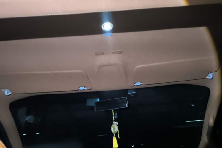 Used Juntian Black Warrior Youth 2023 2.0T Gasoline Standard Edition Headliner