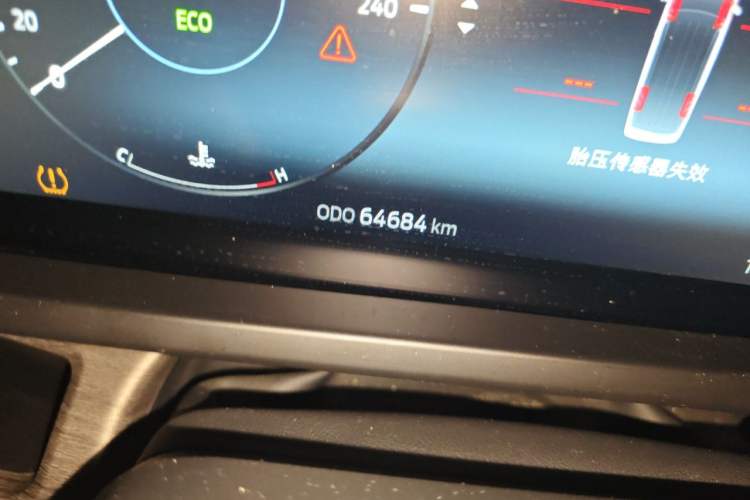 Used Juntian Black Warrior Youth 2023 2.0T Gasoline Standard Edition Odometer Close Up