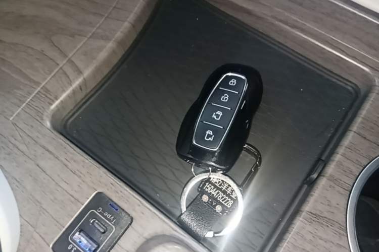 Used Juntian Black Warrior Youth 2023 2.0T Gasoline Standard Edition Vehicle Key