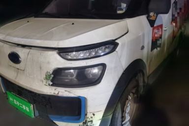Used Karry Dolphin EV 2019 Smart Edition