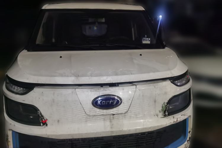 Used Karry Dolphin EV 2019 Smart Edition Front