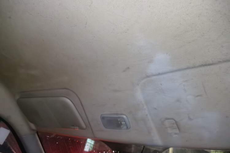 Used Karry Dolphin EV 2019 Smart Edition Headliner
