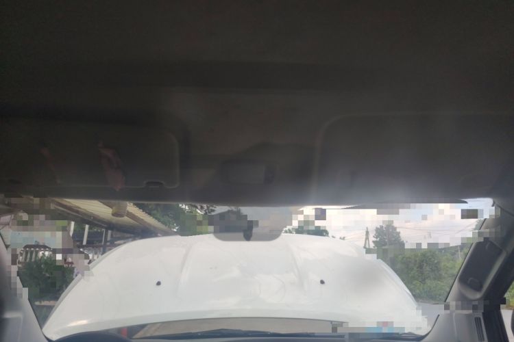 Used Karry Dolphin EV 2019 Smart Edition Headliner
