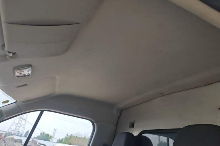 Used Karry Dolphin EV 2019 Smart Edition Headliner