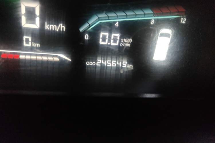 Used Karry Dolphin EV 2021 Upgraded Smart Enjoyment Model Odometer Close Up