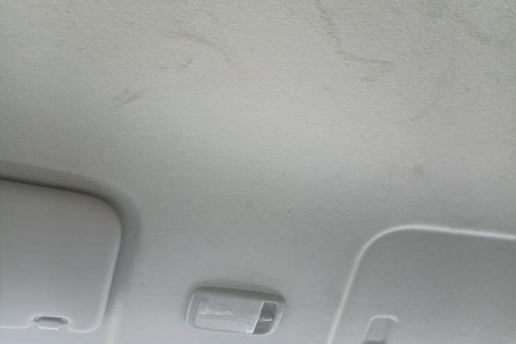 Used Karry Dolphin EV 2022 Smart Edition Headliner