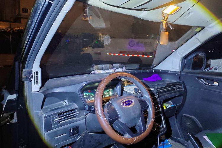 Used Karry Dolphin EV 2022 Smart Edition Headliner