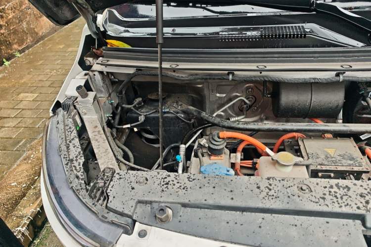 Used Karry Dolphin EV 2023 Wealth Edition Engine Bay Right
