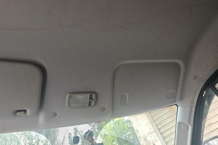 Used Karry Dolphin EV 2023 Wealth Edition Headliner