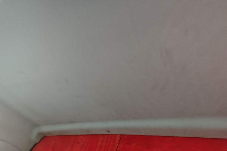 Used Karry Dolphin EV 2023 Wealth Edition Headliner