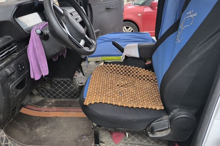 Used Karry Dolphin EV 2023 Wealth Edition Left Front Seat