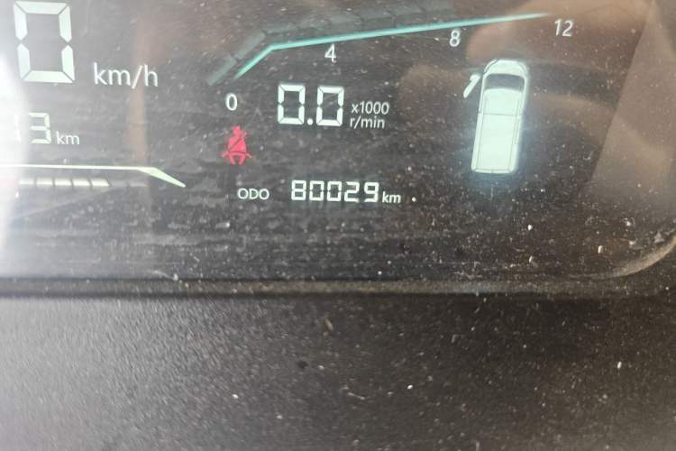 Used Karry Dolphin EV 2023 Wealth Edition Odometer Close Up