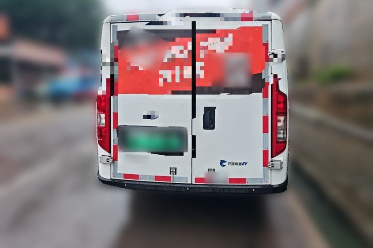 Used Karry Dolphin EV 2023 Wealth Edition Rear