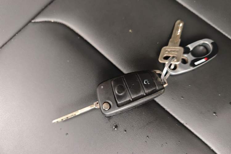 Used Karry Dolphin EV 2023 Wealth Edition Vehicle Key