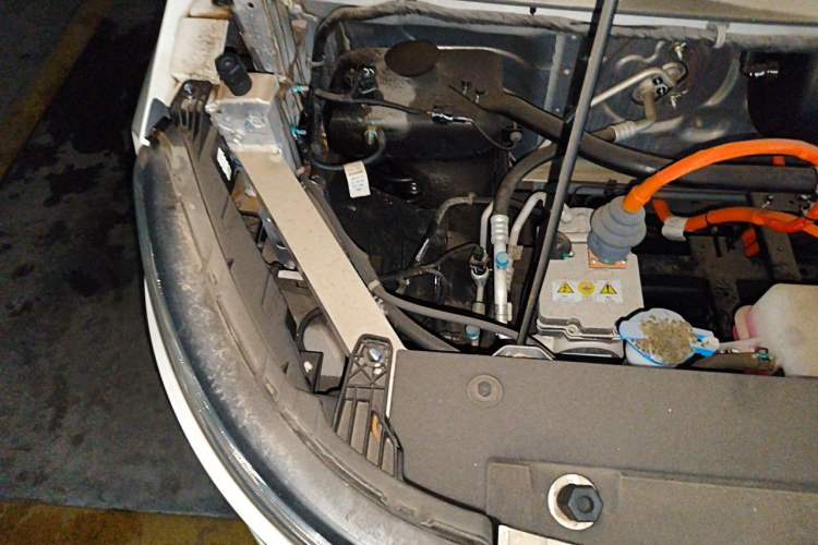 Used Karry Dolphin EV 2025 Economy Version Engine Bay Right