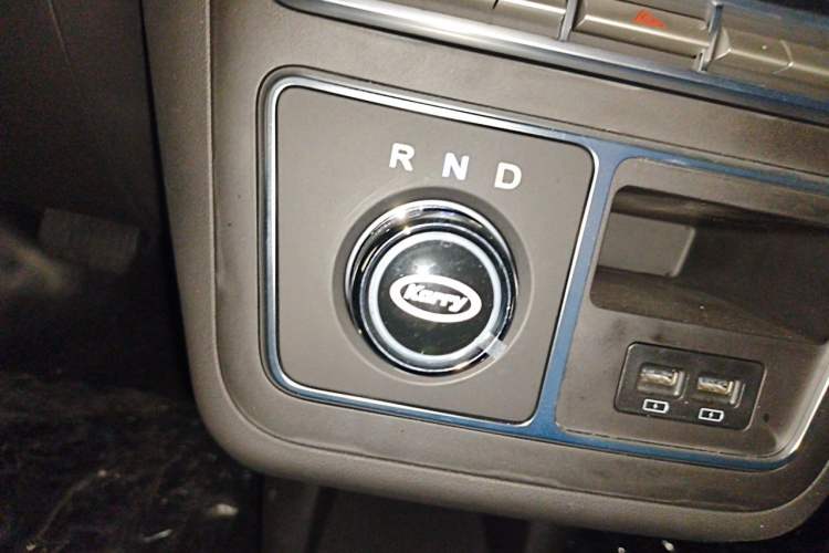 Used Karry Dolphin EV 2025 Economy Version Gear Lever