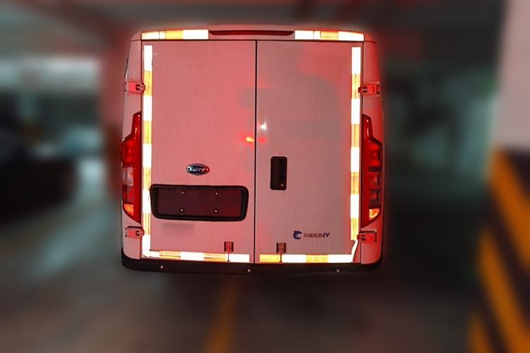Used Karry Dolphin EV 2025 Economy Version Rear