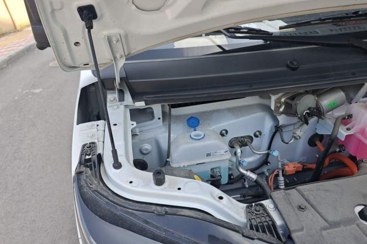 Used Karry Dolphin EV 2026 Model Dolphin K7 310 km Standard Edition Engine Bay Right