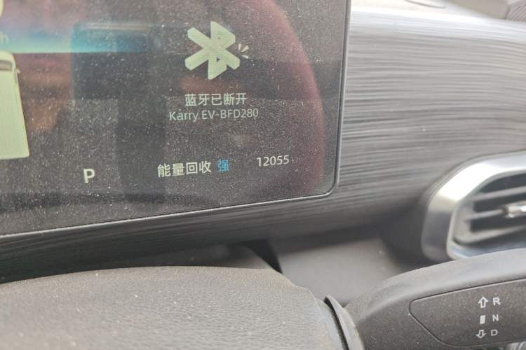 Used Karry Dolphin EV 2026 Model Dolphin K7 310 km Standard Edition Odometer Close Up