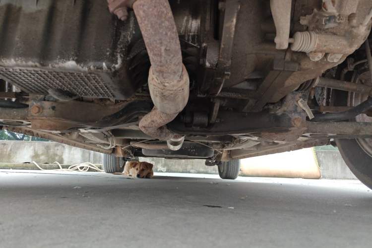 Used Karry K50 2015 1.5L Manual Comfort Model Chassis Front