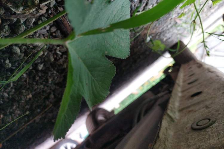 Used Karry K50 2015 1.5L Manual Luxury Model Chassis Front Right